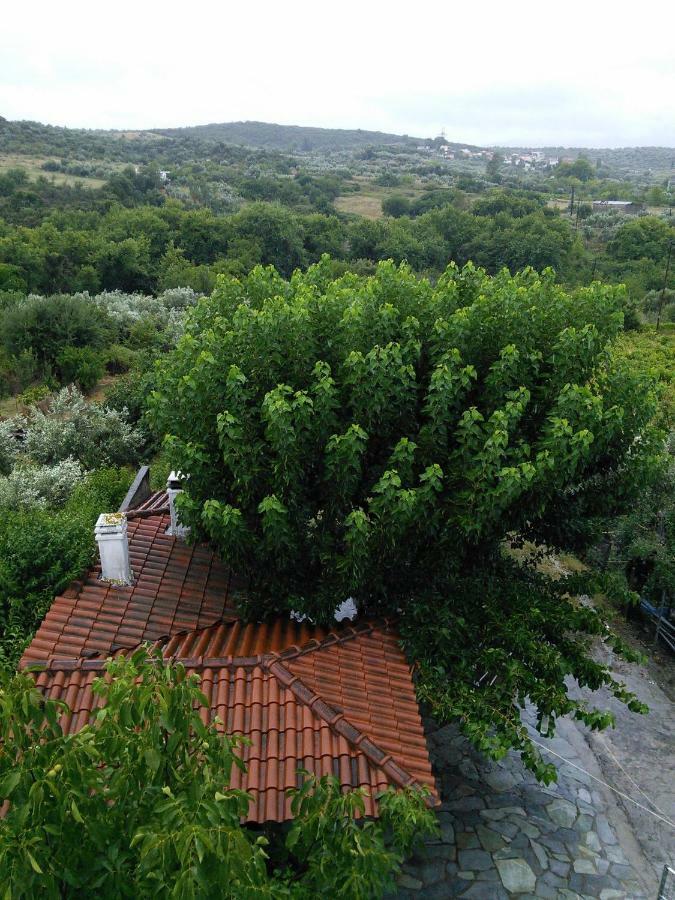 Eleni'S Village Relaxation Home Edipsos Exterior foto